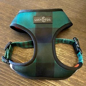 Lucy & Co. Puppy Reversible Collar